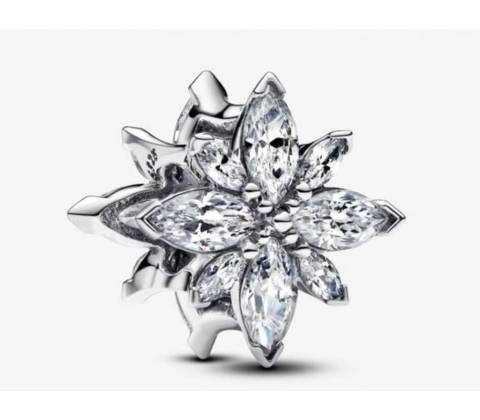 Pandora 793591C01