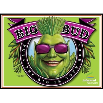 Advanced Nutrients Big Bud 500 ml