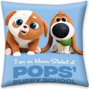 HALANTEX Obojstranný vankúš 40x40