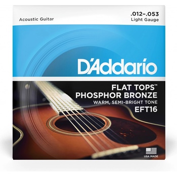 D'addario EFT16