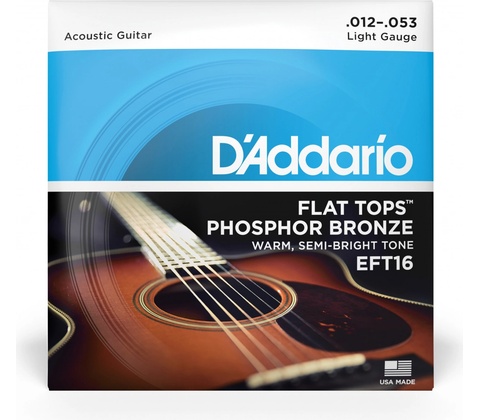 D'addario EFT16