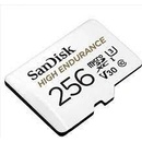 SanDisk microSDXC 256GB SDSQQNR-256G-GN6IA