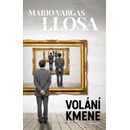 Volání kmene
