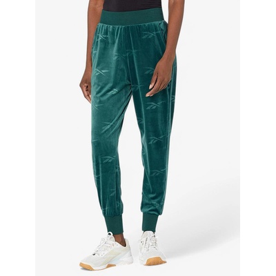 Reebok Classics Energy Q4 Velour Pants Teal