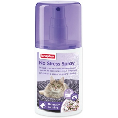 Jak se zorientovat mezi ostatními pomůcky pro kočky?