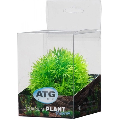 ATG Premium rostlina mini 8 až 14 cm 209