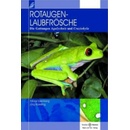 Rotaugenlaubfrösche