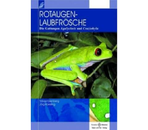 Rotaugenlaubfrösche
