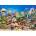 Castorland - Puzzle Colours of the ocean - 260 piese