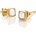 Hot Diamonds náušnice DE770