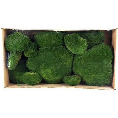 Dekorační stabilizovaný mech kopečkový 0,2 kg, tm. zelený