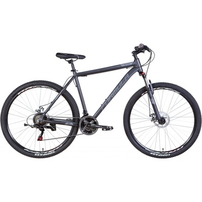 Formula MTB Motion 2024
