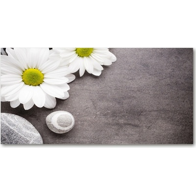 Foto obraz fotografie na skle Gerbera 100x50 cm