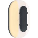 Paulmann 94957 - LED/18, 5W IP65 димируемо външно стенно осветително тяло ELUNOR 230V (W4970)