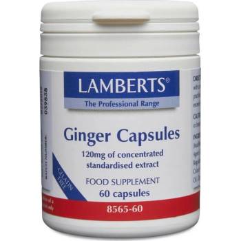 LAMBERTS Хранителна добавка Джинджифил, Lamberts Ginger Capsules 60 caps