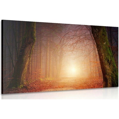 Obraz les v pohádkových barvách - 120x80