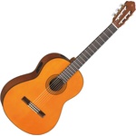 Yamaha CGX 102