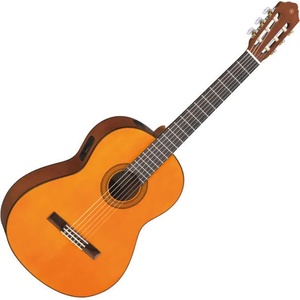 Yamaha CGX 102