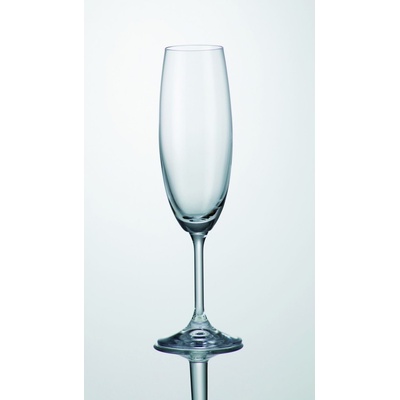 CZ SKLADEM CZ sklen KLARA SYLVIA šamp flétna 6 x 220 ml