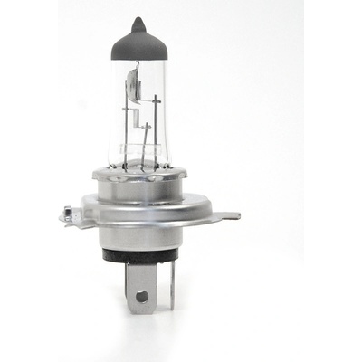 Compass H4 12V 60/55W P43t