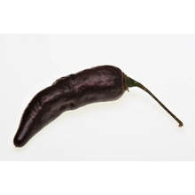 Semínka Piquant Paprička chilli ROYAL BLACK