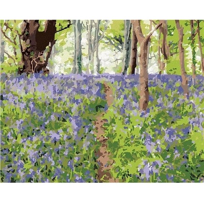 zuty Malování Podle Čísel Květiny A Stromy Irsko Ted Davis 80 x 100 Cm Plátno