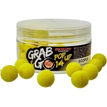 Starbaits GLOBAL POP UP SCOPEX 20 g 14 mm
