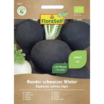Reďkev čierna BIO Runder schwarzer Winter FloraSelf Bio