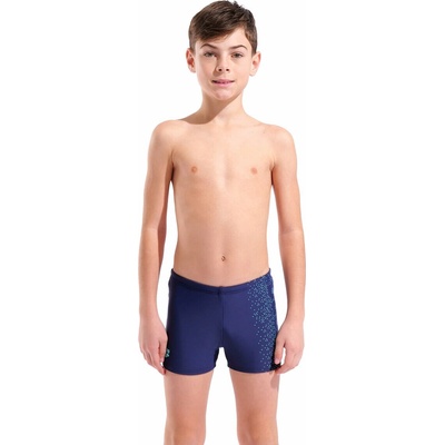 Arena PAINTERLY SWIM SHORT