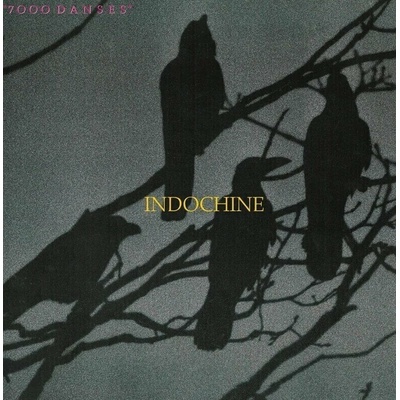 INDOCHINE: 7000 DANSES CD
