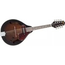 Ibanez M510E-DVS