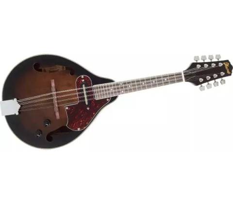 Ibanez M510E-DVS