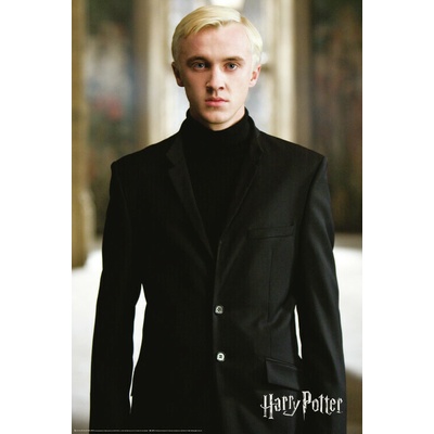 Plagát, Obraz - Harry Potter - Draco Malfoy, 61 × 91.5 cm