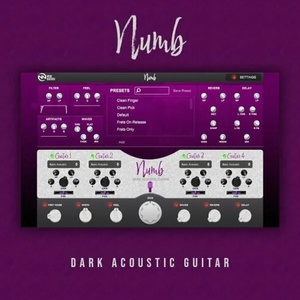New Nation Numb - Dark Acoustic Guitar