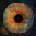 Tom Klose - Echoes CD