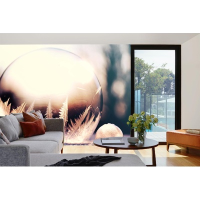 DIMEX ART Самозалепваща се флизелинова фототапета замръзнал балон 375 x 250 см