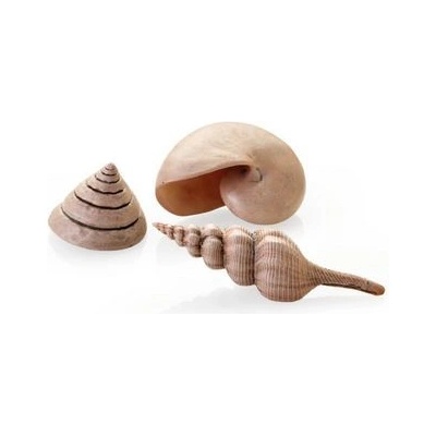 BiOrb Sea Shells Decor Set natural 13, 6,5, 9,5 cm