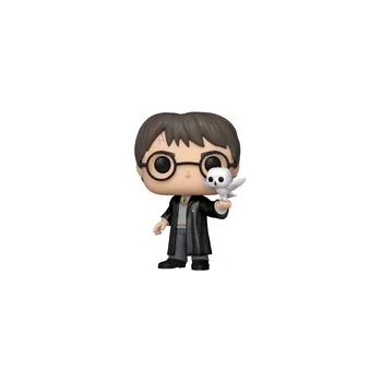 Funko Pop! & Buddy: Harry Potter - Harry Potter with Hedwig (Special Edition) #197 (FUNKO-110400)