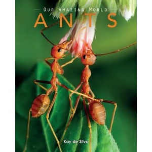 Ants | Kay de Silva (ISBN: 9780994600943)