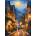 Cherry Pazzi - Puzzle A Quiet Stroll - 1 000 piese