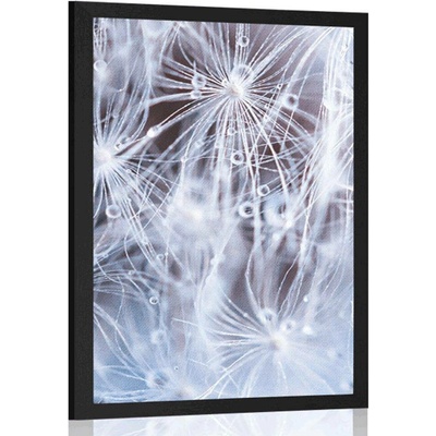 Plakát makro pampeliška - 20x30 white