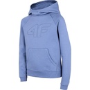 4F Jr. HJZ22 JBLD003 32S