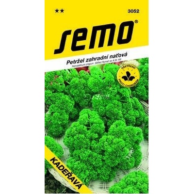 SEMO Petržlen záhradný vnaťový KUČERAVÝ / KADEŘAVÁ