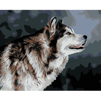 Zuty Malování podle čísel VYHLÍŽEJÍCÍ HUSKY