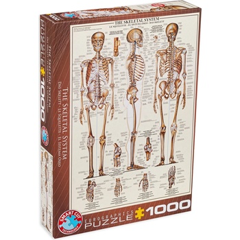 EUROGRAPHICS Пъзел Eurographics от 1000 части - Костна система (60003970)