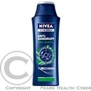 Šampóny Nivea for Men Cool Kick šampón pre normálne až mastné vlasy 250 ml