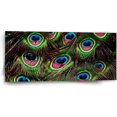 Sablio Obraz Pávie perie - 110x50 cm