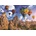 Magnolia - Puzzle Cappadocia, Turecko - 1 000 piese