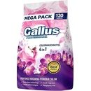 Gallus Professional 4v1 Color 6,6 kg 120 PD