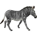 Collecta Zebra Grevyho